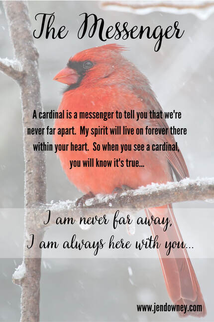 The Messenger Cardinal Quote Meaning or Symbolism of a cardinal