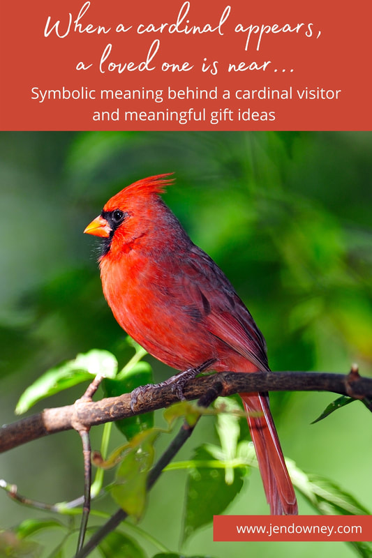 when a cardinal appears a loved one is near meaning behind the red bird cardinal quotes and meaningful cardinal gift ideas
